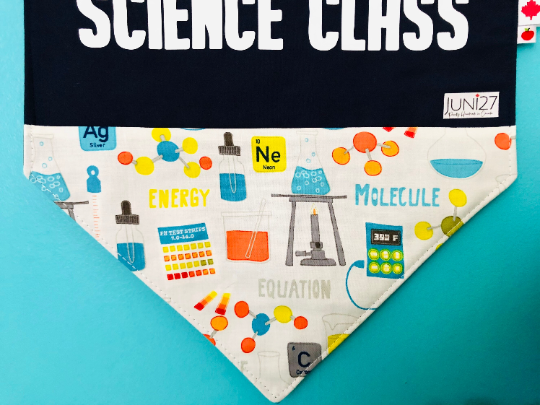 Science Teacher Classroom Banner